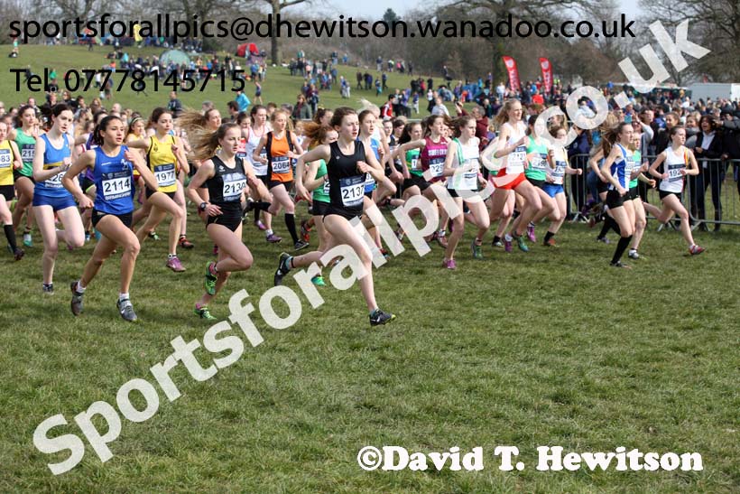 Womens under-17s 2016 Inter Counties Cross Country Champs. and Cross Challenge Final, Cofton Park, Birmingham. Photo: David T. Hewitson/Sports for All Pics